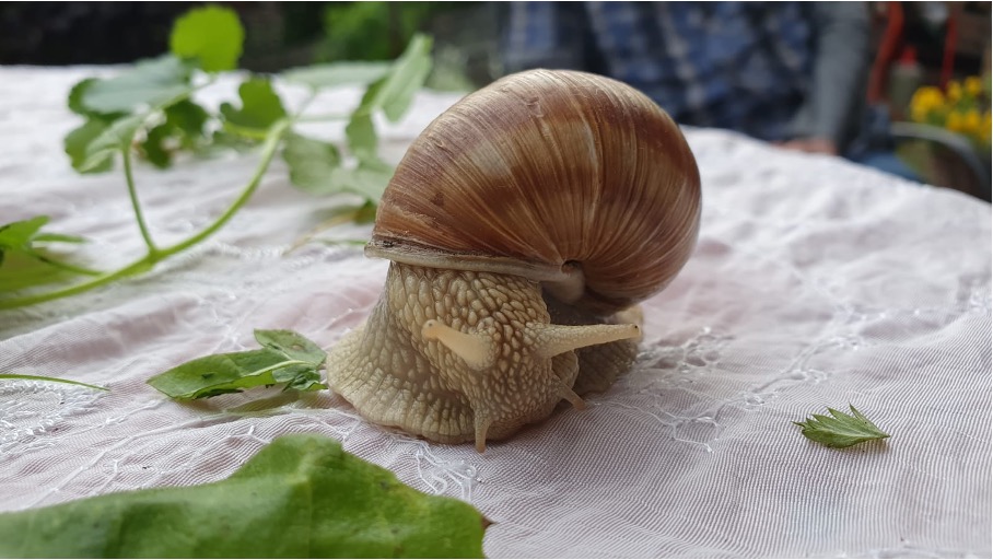Wieso wir langsam schneller ans Ziel kommen
